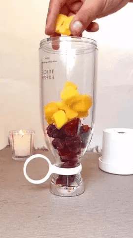 Portable Mini Juice Blender
