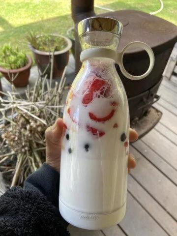 Portable Mini Juice Blender